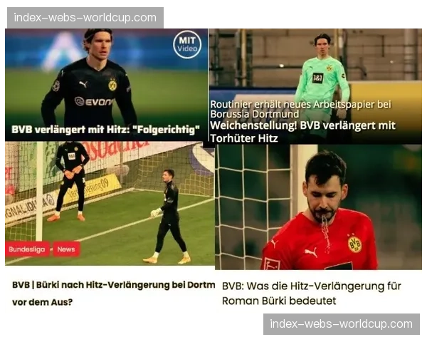 DFL宣布下赛季起将试行“球员脑震荡临时换人”新规则 DFL宣布下赛季起将试行“球员脑震荡临时换人”新规则