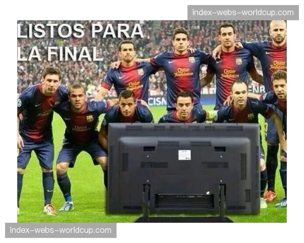 卢顿官方确认主力中卫洛克耶因伤赛季报销，球队保级路蒙阴影。