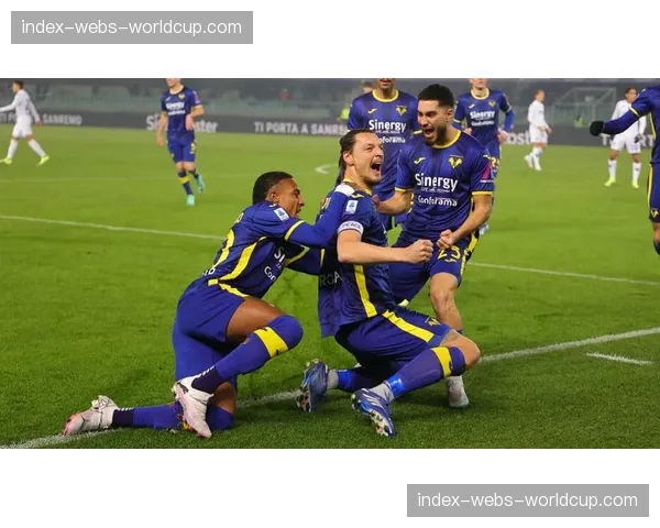 维罗纳2-1绝杀恩波利,赢得价值六分的保级关键战 维罗纳2-1绝杀恩波利,赢得价值六分的保级关键战