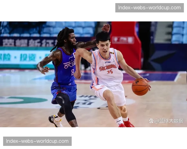 CBA公司探讨增加季后赛球队数量可能性，已成立专项研究小组